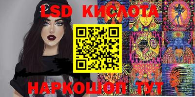mdpv Кимры