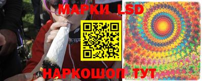 mdpv Кимры
