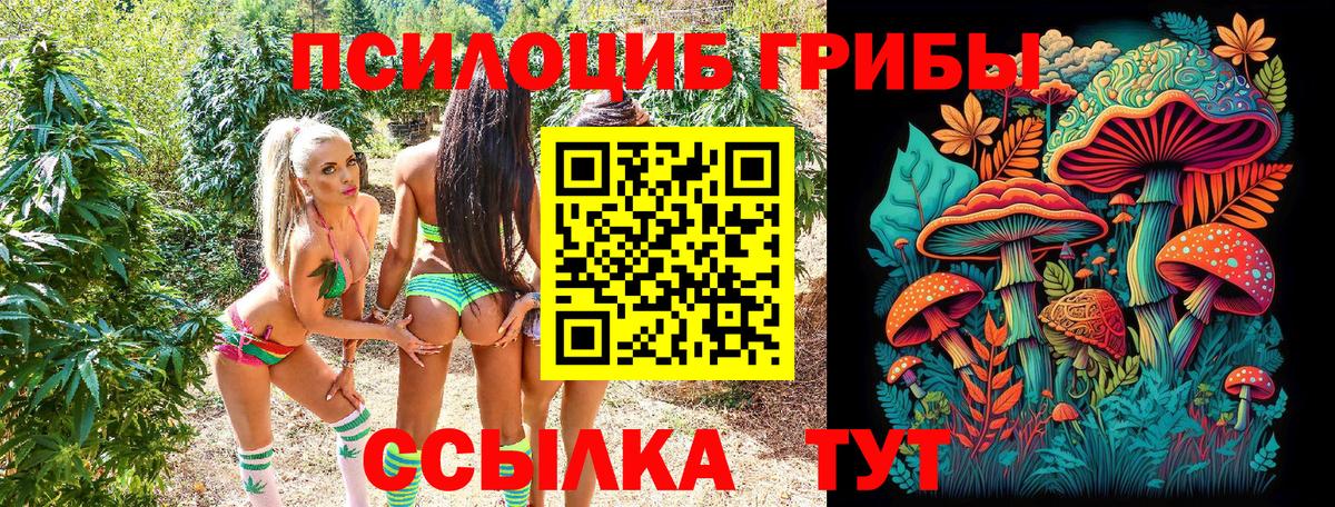Псилоцибиновые грибы Magic Shrooms  Галлюциногенные грибы мицелий  Джанкой  Вход с VPN 