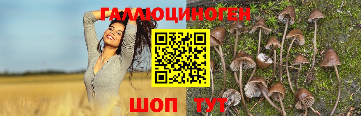 Псилоцибиновые грибы мицелий Джанкой